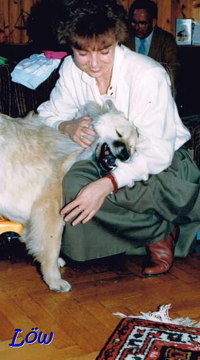 März 1989 -  Schmusehund
